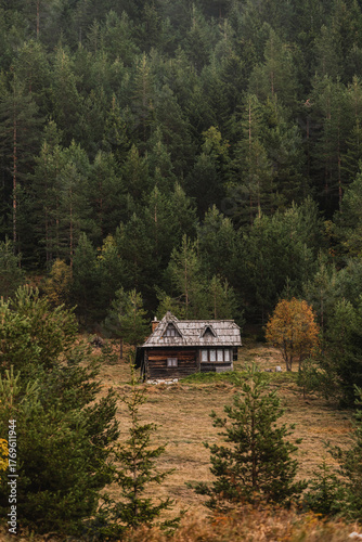 Autumn Landscape with Rustic Wooden Cabin in Forest