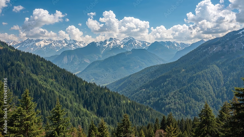 Fototapeta premium Evergreen forests cover the slopes ascending toward the snowy mountains