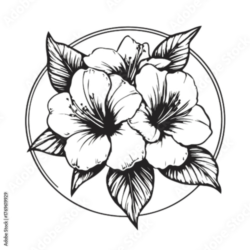 Elegant hand-drawn illustration of blooming hibiscus flowers within a circular frame, evoking natural beauty and artistic grace.