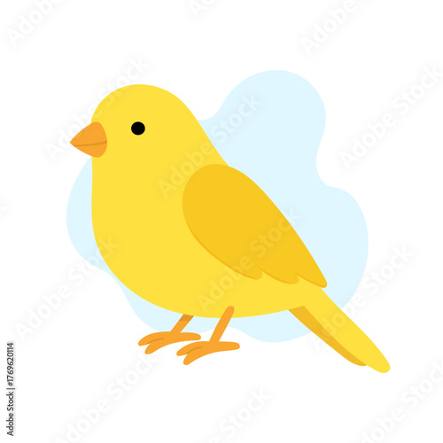 colorful canary with rounded shapes ideal for learning resources, vibrant bird canary illustration featuring sunny yellow canary with smooth circular forms suitable for educational content