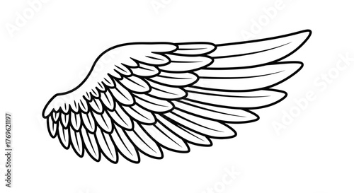 A detailed black and white illustration of a single feathered wing