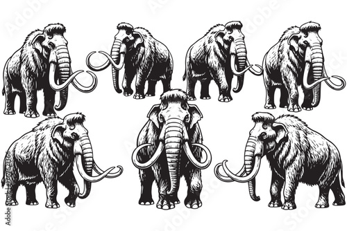 Mammoth collection isolated on white background a captivating assembly of these extinct giants, perfect for historical, educational, or paleontological projects vector illustration
