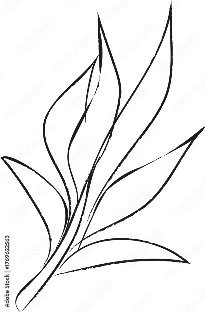 Naklejka premium Laurel Leaves 