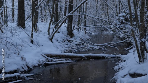 Winter stream flowing through a snowy forest in the late afternoon light