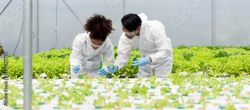 Two scientists are working in a greenhouse, examining plants