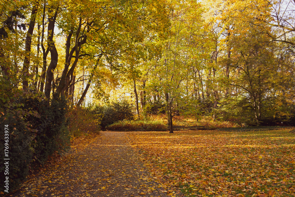 Naklejka premium Aleja parkowa w jesiennej, złotej odsłonie