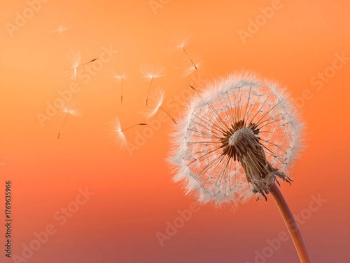 A dandelion, its seeds scattering in the wind, against an orange background. The banner symbolizes beauty, tranquility, freedom, or hope.