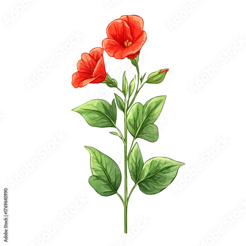 Sweet Pea Flower, in whimsical style, shown as a playful cartoon isolated on a white background.