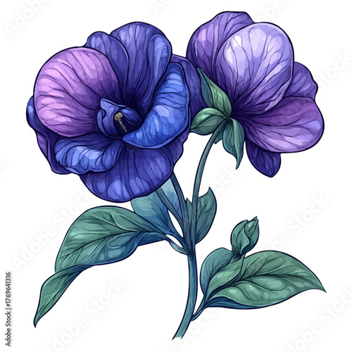 Sweet Pea Flower, playful cartoon illustration, in whimsical style, isolated on a white background..