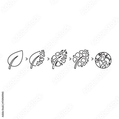 Leaf Decomposition Process Leading to Environmental Impact and Global Issues