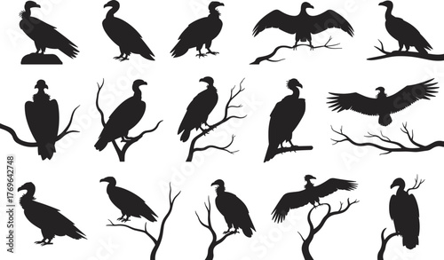 Vulture silhouettes perched on branches, bird poses, wildlife icons, nature observation graphics, flat vector illustration for stock and design use