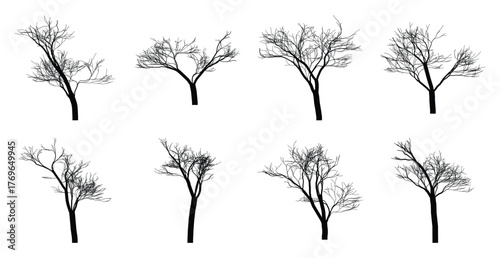 Black silhouette of eight bare trees on white background branch twig
