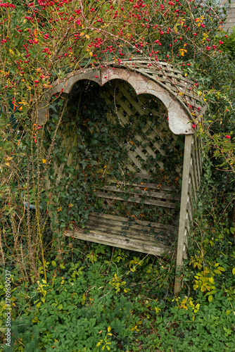 Old wooden bench in garden