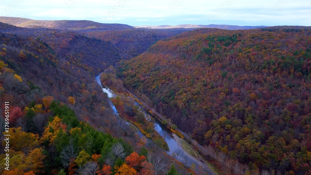 Fototapeta premium Pennsylvania Grand Canyon Mountains in Autumn Fall Colors, orange and reds with gentle flowing Pine creek in valley below with hiking, biking trail for exercise and relaxing in the nature outdoors