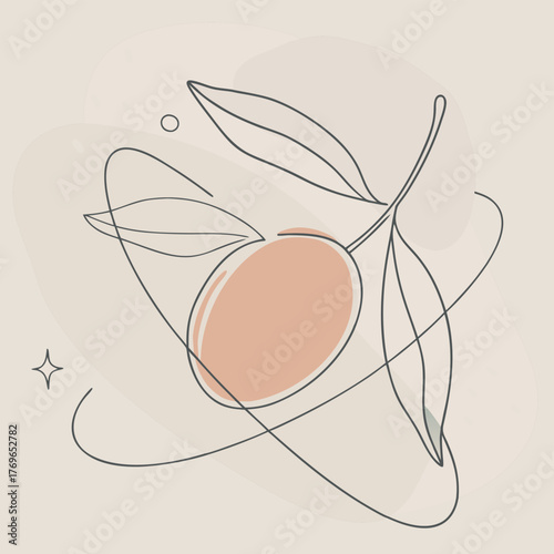 miracle fruit vector