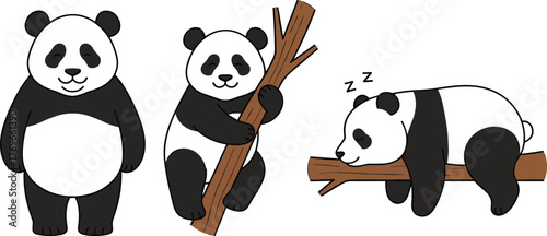 Cartoon pandas in playful poses, tree branch scene, sleeping panda, climbing panda, standing panda, cute animals, children’s illustration, fun