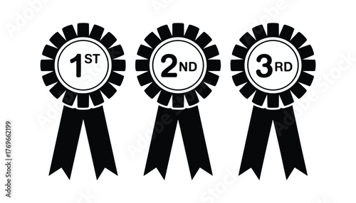 Three black rosettes with ribbons displaying 1st 2nd and 3rd place text award first place