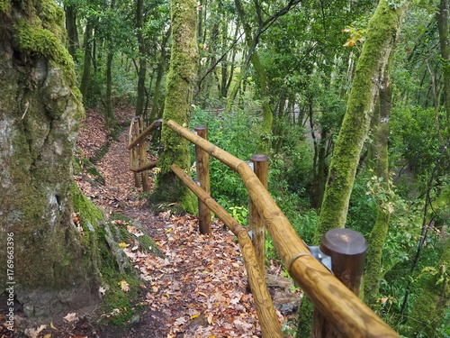 ruta de los molinos de Mezonzo, bonita ruta de senderismo por los molinos harineros y batanes. impregnados en aromas de vegetación silvestre, de los cantos de los pájaros, La Coruña, Galicia, España