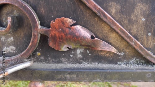 Moss grows on the metal surface of the gate. Cleaning the moss
