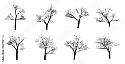 Eight black silhouette bare trees on white background branch winter