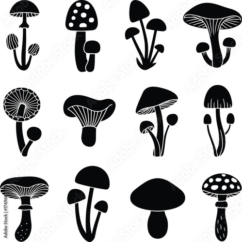 Mushroom silhouette icon set, black fungi illustrations, diverse cap and stem styles, botanical vector collection, nature graphic design, fungus shape variety
