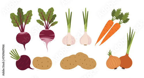 Various root vegetables and alliums artfully arranged on a white background.