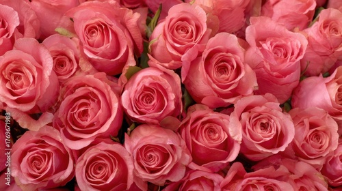 Soft pink roses fill the scene with color and fragrance creating a warm and inviting atmosphere.
