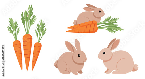 Cute bunnies and carrots illustration on a white background, perfect for Easter or spring designs.