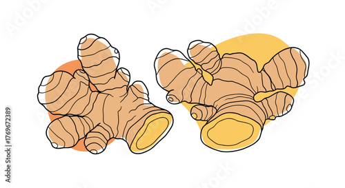 Illustration of two ginger roots with orange and yellow abstract shapes behind them.