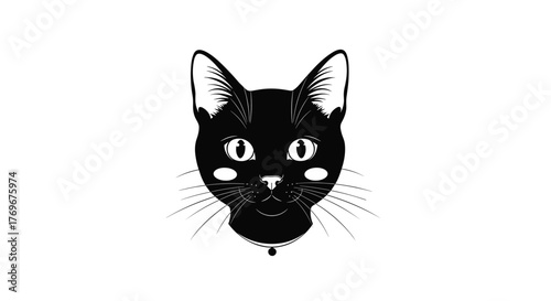 Stylized illustration of a black cat's face with large white eyes and pink cheeks, featuring prominent whiskers.