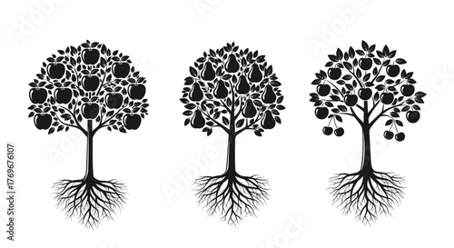 Three stylized trees with fruits and roots, symbolizing growth and nature.