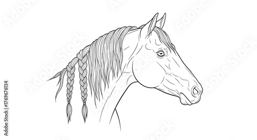 Line drawing of a horse's head with a braided mane against a white background.