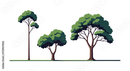 Three distinct cartoon-style trees are depicted with lush green foliage and brown trunks on a white background.