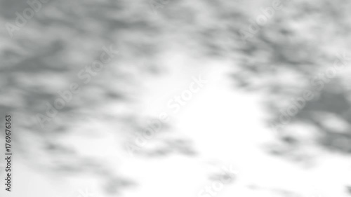 Abstract shadow tree on wind background, boho effect, looped animation