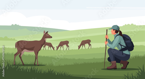 Observing Deer On A Grassy Hillside While Hiking Adventure, Nature Watching, Outdoors
