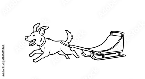 Happy dog running while pulling a sled on a bright winter day  