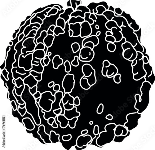 Black and white drawing of a pumpkin with an unusual surface covered with warts	