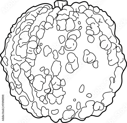 Coloring page with pumpkin with an unusual surface covered with warts