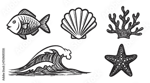 Black ink illustration of a fish, seashell, coral, ocean wave, and starfish, depicting various marine elements with intricate detail.