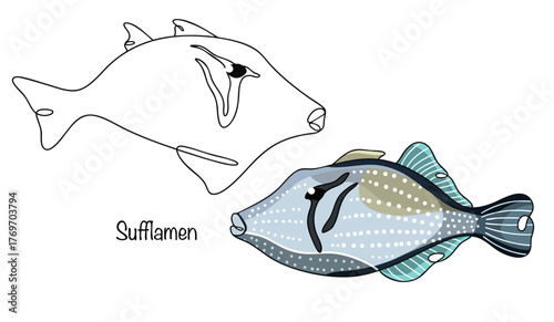 Sufflamen