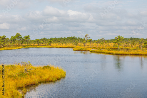 Bog pools in Soomaa National Park near Riisa, Estonia.