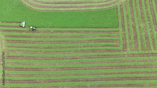 Tractor cutting grass into windrows in a lush green field during daytime