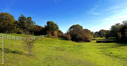 Under a crisp blue sky, autumn unfurls in golden hues. Trees and shrubs edge the land, where a weathered fence lends quiet charm to Norwood Green, Halifax, UK