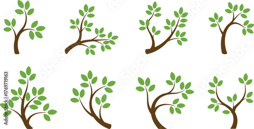 Comprehensive collection of nature and growth vector illustrations, including tree branches, plant life cycle stages, blossoming bushes, vines, and foliage, symbolizing organic ecology and spring 