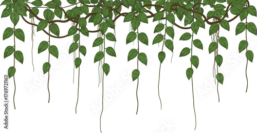 Dense jungle vine border with tangled branches and hanging dark green leaves, creating a tropical nature decoration, perfect for ecology, summer, and organic design projects.