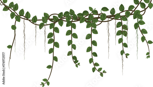 Lush jungle vine border with tangled branches and hanging green leaves, creating a tropical nature decoration, perfect for ecology, summer, and organic design projects.