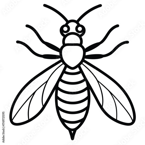 bee vector illustration