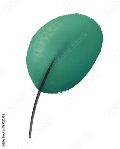 eucalyptus foliage on the transparent background