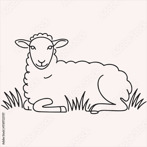 A simple black and white line art illustration of a cute lamb resting peacefully in the grass