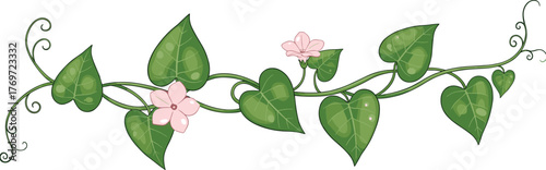 Decorative vector illustration of a climbing vine with large heart-shaped green leaves, delicate pink flowers, and swirling tendrils, perfect for nature and organic design borders or elements.